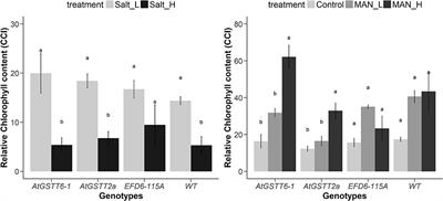 Tolerance of Transplastomic Tobacco Plants Overexpressing a Theta Class Glutathione Transferase to Abiotic and Oxidative Stresses